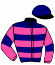 casaque portée par Lecanu F. jockey du cheval de course ELDORADO FRANCE (FR), information pmu ZETURF
