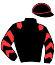 casaque portée par Lebourgeois Y. jockey du cheval de course HARAGONAIS (FR), information pmu ZETURF