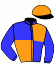 casaque portée par Barthelemy Mlle A. jockey du cheval de course IBIZA DE CHENU (FR), information pmu ZETURF