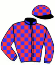 casaque portée par Pean M. jockey du cheval de course IDOLE DU NOYER (FR), information pmu ZETURF