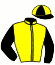 casaque portée par Gaborit L. jockey du cheval de course ILONA NORMANDE (FR), information pmu ZETURF