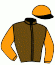 casaque portée par Ploquin P. Ph. jockey du cheval de course GADJO SAUTREUIL (FR), information pmu ZETURF
