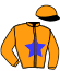 casaque portée par Verva M. jockey du cheval de course FORREST D'ARC (FR), information pmu ZETURF