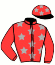 casaque portée par Pellerot F. jockey du cheval de course HAVANE DE CHENU (FR), information pmu ZETURF