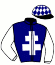 casaque portée par Dauverne D. jockey du cheval de course HAVANA PARIS (FR), information pmu ZETURF