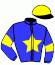 casaque portée par Cheradame A. jockey du cheval de course FONZY D'HERIPRE (FR), information pmu ZETURF
