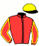 casaque portée par Briand Mlle O. jockey du cheval de course IPPON DE TILLARD (FR), information pmu ZETURF