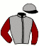 casaque portée par Ploquin P. Ph. jockey du cheval de course IZARA DE VIETTE (FR), information pmu ZETURF