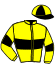 casaque portée par Andre A. jockey du cheval de course DERBY BOX (FR), information pmu ZETURF