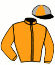casaque portée par Lebourgeois Y. jockey du cheval de course EXTRA DU CHATELET (FR), information pmu ZETURF