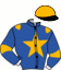 casaque portée par Mottier M. jockey du cheval de course HESPERA (FR), information pmu ZETURF