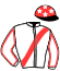 casaque portée par Levesque Mlle C. jockey du cheval de course HOOKER LAKE (FR), information pmu ZETURF