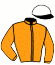 casaque portée par Coppens B. jockey du cheval de course INCOM TAX, information pmu ZETURF