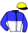 casaque portée par Gassiraro A. jockey du cheval de course ESPOIR ANVALOU (FR), information pmu ZETURF
