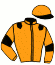 casaque portée par Raffin E. jockey du cheval de course INDY DE JYR, information pmu ZETURF