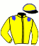 casaque portée par Abrivard J. E. jockey du cheval de course DIEGO SAUTONNE, information pmu ZETURF