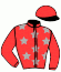 casaque portée par Raffin E. jockey du cheval de course JACKPOT DE CHENU, information pmu ZETURF