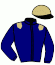 casaque portée par Abrivard A. jockey du cheval de course ICARE DU DOUET, information pmu ZETURF