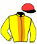casaque portée par Beaufils Ernault Mme D. jockey du cheval de course IDYLLIC DREAM, information pmu ZETURF