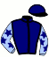 casaque portée par Petitjean K. jockey du cheval de course HOBRIO, information pmu ZETURF