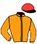 casaque portée par Muidebled A. jockey du cheval de course IAGO VICTORY, information pmu ZETURF
