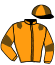 casaque portée par Lagadeuc F. jockey du cheval de course JOKER DU CHOQUEL, information pmu ZETURF