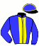 casaque portée par Rochard B. jockey du cheval de course INFLUENCE, information pmu ZETURF