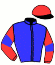 casaque portée par Le Bec J. E. jockey du cheval de course HARLEY DU PONT, information pmu ZETURF