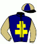 casaque portée par Martin G. jockey du cheval de course IDAHO CARTERY, information pmu ZETURF