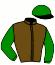 casaque portée par Dromigny T. jockey du cheval de course FALKIR BUIZARDERIE, information pmu ZETURF