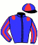 casaque portée par Raffin E. jockey du cheval de course JACINTHE MIKA, information pmu ZETURF