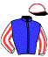 casaque portée par Desmigneux F. jockey du cheval de course JAVA DE BRY, information pmu ZETURF