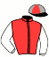 casaque portée par Desmarres Th. jockey du cheval de course GAROU LIONNAIS, information pmu ZETURF