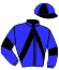 casaque portée par Leroulley J. jockey du cheval de course GENTLEMAN GWEN, information pmu ZETURF