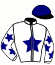 casaque portée par Terry C. jockey du cheval de course HELSA DE LA ROCHE, information pmu ZETURF casaque portée par Terry C. jockey du cheval de course HELSA DE LA ROCHE, information pmu ZETURF