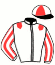 casaque portée par Hardy Mlle Noé. jockey du cheval de course HUDSON VEDAQUAIS, information pmu ZETURF