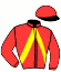 casaque portée par Desmottes A. jockey du cheval de course JESSYLONA, information pmu ZETURF casaque portée par Desmottes A. jockey du cheval de course JESSYLONA, information pmu ZETURF
