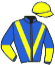 casaque portée par Roussin A. jockey du cheval de course HARMONIST, information pmu ZETURF