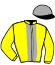 casaque portée par Saussaye V. jockey du cheval de course KUINCY LADY, information pmu ZETURF