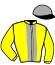 casaque portée par Saussaye V. jockey du cheval de course KUINCY LADY, information pmu ZETURF casaque portée par Saussaye V. jockey du cheval de course KUINCY LADY, information pmu ZETURF