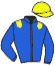 casaque portée par Rousselle S. jockey du cheval de course KARAMEL DES BOSC, information pmu ZETURF