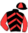 casaque portée par Hallais J. W. jockey du cheval de course KYUSHU, information pmu ZETURF casaque portée par Hallais J. W. jockey du cheval de course KYUSHU, information pmu ZETURF