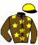 casaque portée par Saussaye V. jockey du cheval de course LOVELY CHENEVIERE, information pmu ZETURF