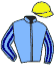 casaque portée par Beauvais T. jockey du cheval de course IVARUN, information pmu ZETURF