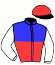 casaque portée par Potier Mat. jockey du cheval de course KLEMPERER, information pmu ZETURF