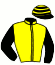 casaque portée par Delacour P. A. jockey du cheval de course ICARE D'ACADIE, information pmu ZETURF casaque portée par Delacour P. A. jockey du cheval de course ICARE D'ACADIE, information pmu ZETURF