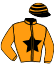 casaque portée par Perrier T. jockey du cheval de course HARPIE DE JED, information pmu ZETURF