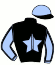 casaque portée par Thoraval Mlle Lis. jockey du cheval de course KERCADIA BARTH, information pmu ZETURF