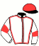 casaque portée par Boutin Ant. jockey du cheval de course JOHANNA JOBYNA, information pmu ZETURF