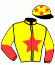 casaque portée par Lefevre N. jockey du cheval de course JANETTE TY, information pmu ZETURF